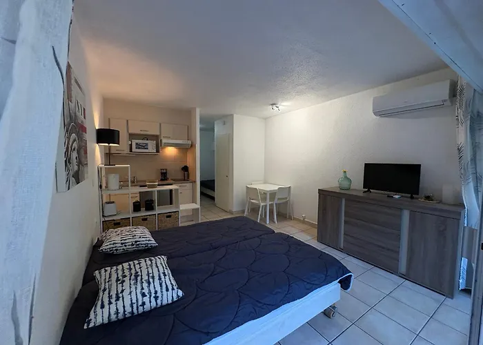 Apartment Climatise 2/3 Pers, Proche & Centre-ville, Wifi Gratuit, Parking & Linge En Option - Fr-1-466a-44 Saint-Raphael (Var)